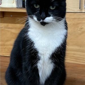 Meet your Posher, Heather